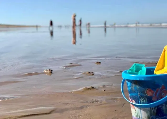 Maison T3 A 150 M De La Avec Piscine Collective, Parking Et Wifi - Fr-1-231-234 布雷蒂诺斯梅尔